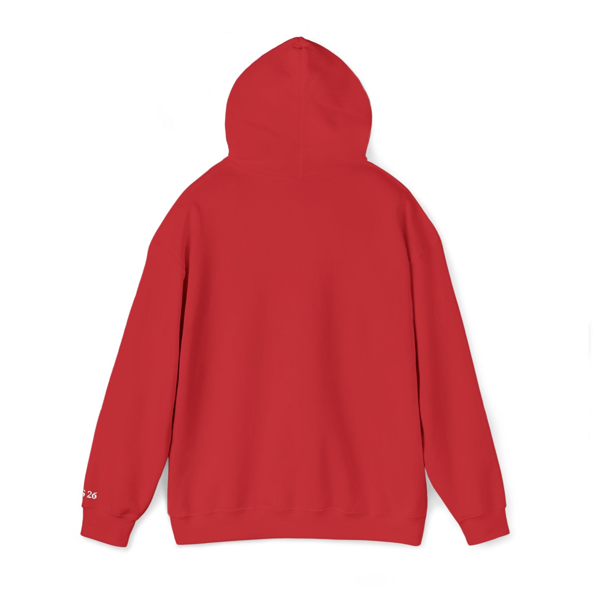 Embroidered "Burning unseen won't light the way" hoodie
