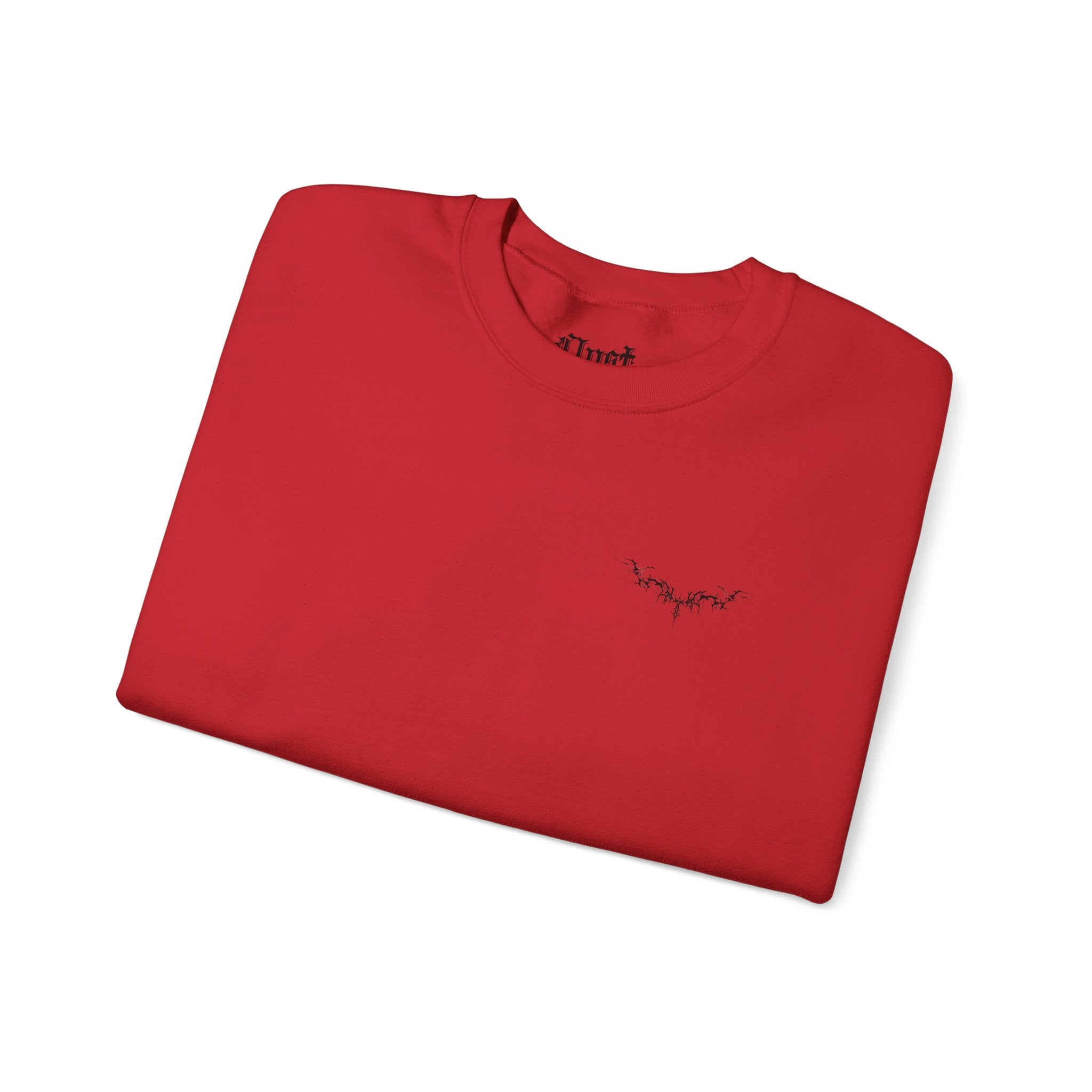 "Shyne & Clysten" longsleeve sweater