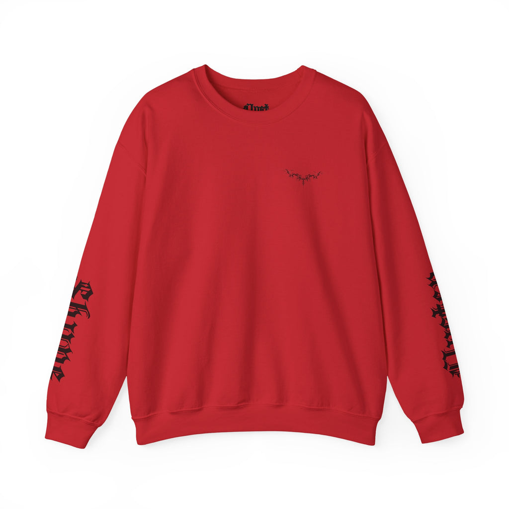 "Shyne & Clysten" longsleeve sweater